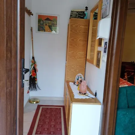 At The With Your Dog Appartamento